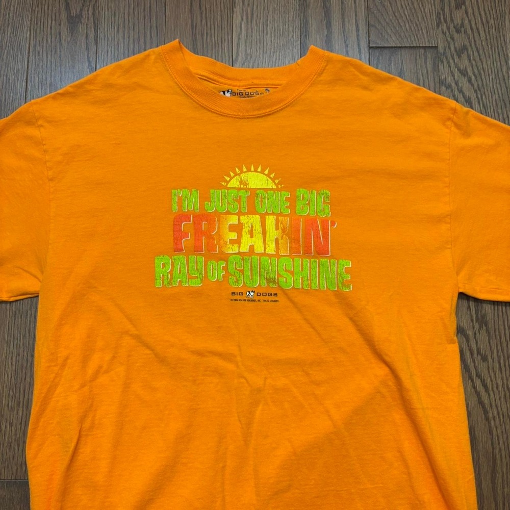 Big Dogs T-Shirt Funny Humor Orange Text Tee Men's small/medium